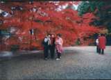 001120018.jpg 490x355 24bit 2001/02/03 18:17:42 41346 bytes