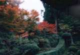 001120020.jpg 485x335 24bit 2001/02/03 18:17:48 35933 bytes