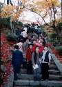 001120023.jpg 352x492 24bit 2001/02/03 18:18:00 54178 bytes