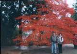 001120024.jpg 495x345 24bit 2001/02/03 18:18:04 39168 bytes