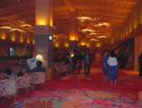 001101003.jpg 576x436 24bit 2001/02/03 18:16:22 46536 bytes