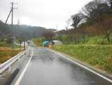 010126001.jpg 576x436 24bit 2001/02/03 18:18:10 53770 bytes