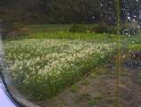 010126002.jpg 576x436 24bit 2001/02/03 18:18:14 50077 bytes