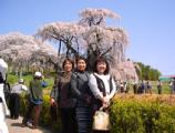 I4170013.JPG 528x400 24bit 2001/04/24 01:17:58 51056 bytes
