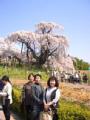 I4170014.JPG 302x400 24bit 2001/04/24 01:18:00 28435 bytes