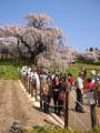 I4170016.JPG 302x400 24bit 2001/04/24 01:18:06 30268 bytes