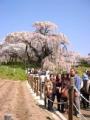 I4170017.JPG 302x400 24bit 2001/04/24 01:18:10 28243 bytes