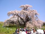 I4170018.JPG 528x400 24bit 2001/04/24 01:18:12 47907 bytes