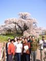 I4170019.JPG 302x400 24bit 2001/04/24 01:18:16 26478 bytes