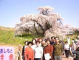 I4170020.JPG 528x400 24bit 2001/04/24 01:18:18 47367 bytes