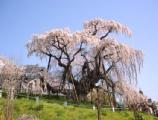 I4170021.JPG 528x400 24bit 2001/04/24 01:18:22 50263 bytes