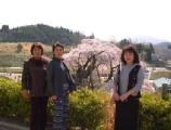 I4170022.JPG 528x400 24bit 2001/04/24 01:18:26 41871 bytes