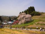 I4170028.JPG 528x400 24bit 2001/04/24 01:18:48 40543 bytes