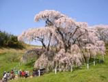 I4170030.JPG 528x400 24bit 2001/04/24 01:18:56 53654 bytes