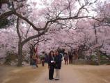 I4190007.JPG 528x400 24bit 2001/04/24 01:10:20 60064 bytes