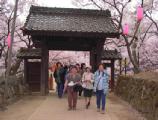 I4190008.JPG 528x400 24bit 2001/04/24 01:10:16 54068 bytes