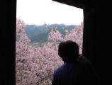 I4190011.JPG 528x400 24bit 2001/04/24 01:10:08 28448 bytes