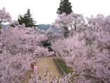 I4190012.JPG 528x400 24bit 2001/04/24 01:10:04 59363 bytes