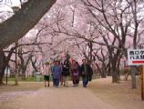I4190013.JPG 528x400 24bit 2001/04/24 01:10:02 60002 bytes