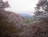 I4190014.JPG 528x400 24bit 2001/04/24 01:09:58 52517 bytes