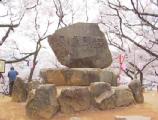 I4190015.JPG 528x400 24bit 2001/04/24 01:09:54 51961 bytes
