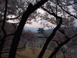 I4190017.JPG 528x400 24bit 2001/04/24 01:09:46 53989 bytes