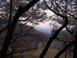I4190018.JPG 528x400 24bit 2001/04/24 01:09:42 54609 bytes