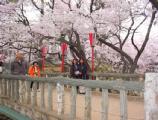 I4190019.JPG 528x400 24bit 2001/04/24 01:09:40 61341 bytes