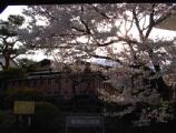 I4190022.JPG 528x400 24bit 2001/04/24 01:09:36 56197 bytes