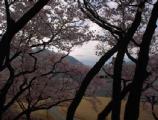 I4190024.JPG 528x400 24bit 2001/04/24 01:09:28 54066 bytes