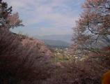 I4190025.JPG 528x400 24bit 2001/04/24 01:09:24 44719 bytes