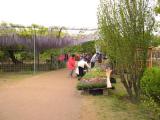 lec0010.jpg 600x450 24bit 2001/05/03 22:07:04 66541 bytes