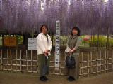 lec0013.jpg 600x450 24bit 2001/05/03 22:07:20 75561 bytes