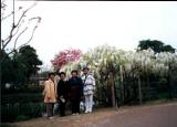 lec0048.jpg 650x468 24bit 2001/05/11 16:21:20 37098 bytes