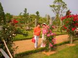 I5260020.jpg 600x450 24bit 2001/05/31 03:30:00 72831 bytes