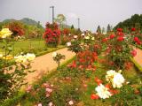 I5260022.jpg 600x450 24bit 2001/05/31 03:29:48 78491 bytes