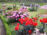 I5260029.jpg 600x450 24bit 2001/05/31 03:29:12 85164 bytes