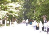 I6120003.jpg 600x450 24bit 2001/06/24 03:59:40 33087 bytes