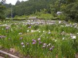I6120004.jpg 600x450 24bit 2001/06/24 03:59:40 45326 bytes