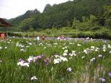I6120007.jpg 600x450 24bit 2001/06/24 03:59:42 42001 bytes