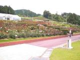 I6120016.jpg 600x450 24bit 2001/06/24 03:59:48 27011 bytes