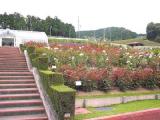 I6120017.jpg 600x450 24bit 2001/06/24 03:59:50 33328 bytes