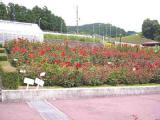 I6120018.jpg 600x450 24bit 2001/06/24 03:59:50 32705 bytes