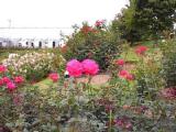 I6120024.jpg 600x450 24bit 2001/06/24 03:59:54 41594 bytes