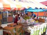 I6160012.jpg 600x450 24bit 2001/07/13 18:11:28 48405 bytes