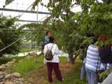 I6160018.jpg 600x450 24bit 2001/07/13 18:11:02 60774 bytes