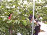 I6160019.jpg 600x450 24bit 2001/07/13 18:10:58 58121 bytes