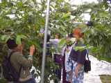 I6160020.jpg 600x450 24bit 2001/07/13 18:10:54 59135 bytes