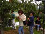 I6160021.jpg 600x450 24bit 2001/07/13 18:10:48 51958 bytes