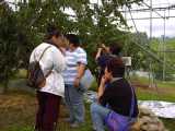 I6160022.jpg 600x450 24bit 2001/07/13 18:10:44 53789 bytes
